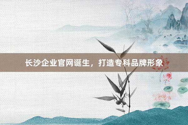 长沙企业官网诞生，打造专科品牌形象