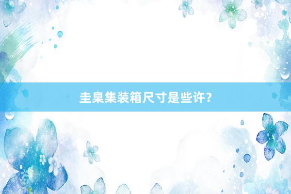圭臬集装箱尺寸是些许?
