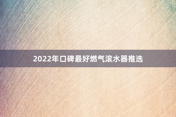 2022年口碑最好燃气滚水器推选